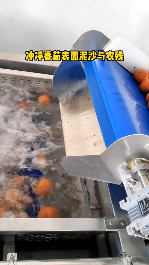 Small Tomato Paste Production Line video cover